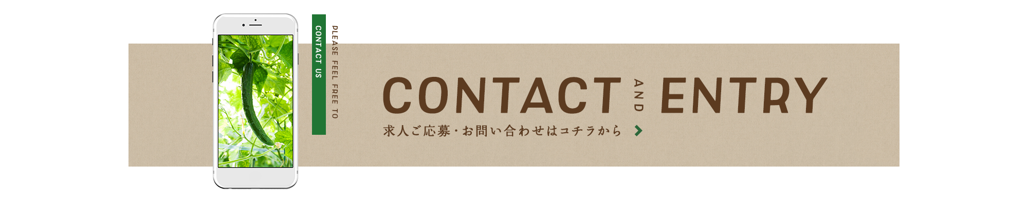 banner_contact